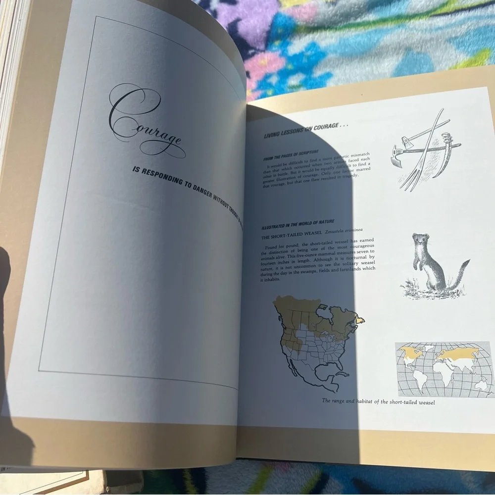 Vintage Character Sketches from the Pages of Scripture Nature Illustrated - Picture 7 of 7